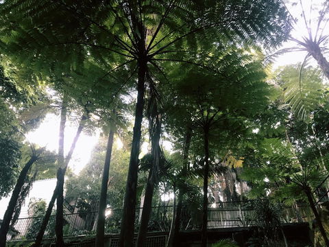 Woollahra Gem, Spectacular Views And Garden Paradise - Stayed 33