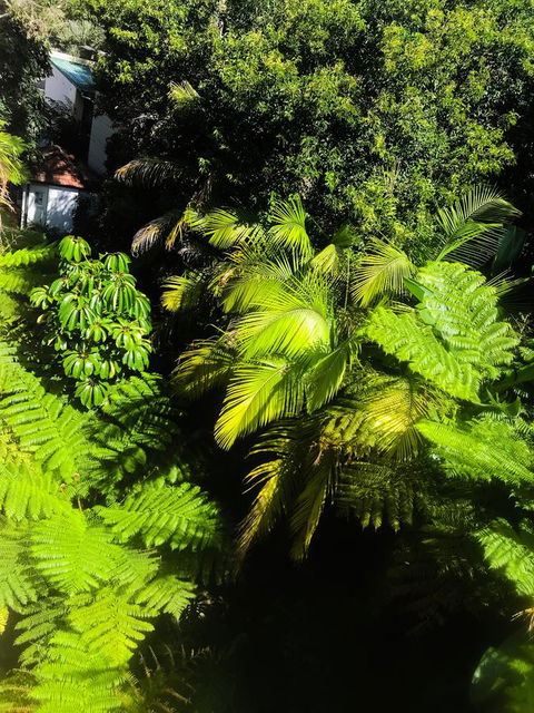 Woollahra Gem, Spectacular Views And Garden Paradise - Stayed 29