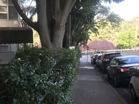 Woollahra Gem, Spectacular Views And Garden Paradise - Stayed 1