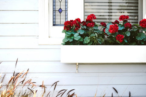 Morpeth Cottage - Stays Accommodation 41