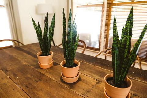 Morpeth Cottage - Stays Accommodation 25