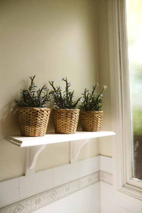 Morpeth Cottage - Stays Accommodation 31