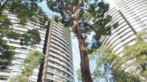 SkyGarden Sydney Olympic Park 3 & 4 Bedroom City View - Stayed 33