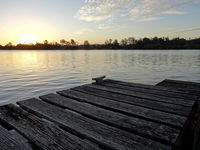 Book Urunga Accommodation Vacations Stayed Stayed