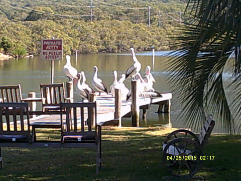 Pelican H2O One & Two Bedroom Apartments - Stayed 9