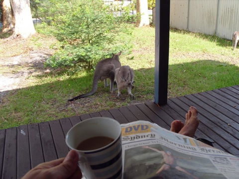 Bush & Bay Cottage - Stayed 29