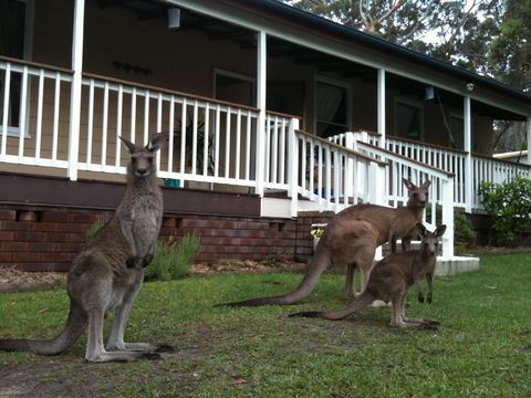 Bush & Bay Cottage - Stayed 30