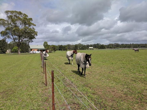 Madigan Wine Country Cottages - Stayed 9