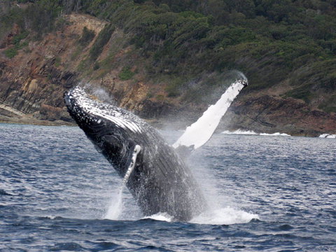 Braemar 9 - Stayed 8