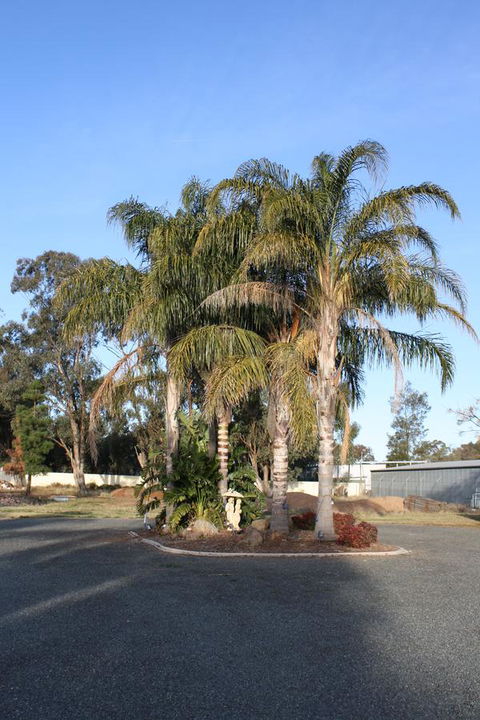 Temora Motel - Stayed 6
