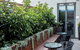 Crown Hotel Surry Hills - thumb 41