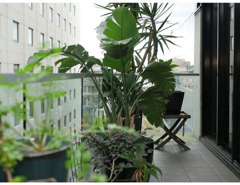 Urban Loft Close To Sydney Hot Spots - Stayed 11