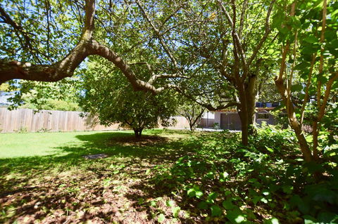 Wildlife Lodge Katoomba - Stayed 26