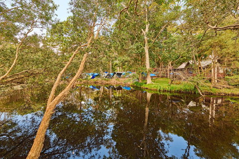 Arts Factory By Nomads - Stayed 12