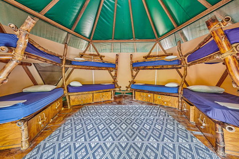 Arts Factory By Nomads - Stayed 4