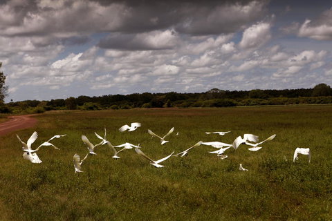 Wildman Wilderness Lodge - Stayed 20