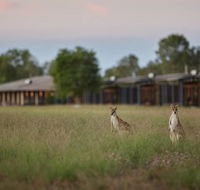 Wildman Wilderness Lodge - Stayed