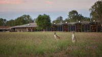 Book Point Stuart Accommodation Vacations Stayed Stayed