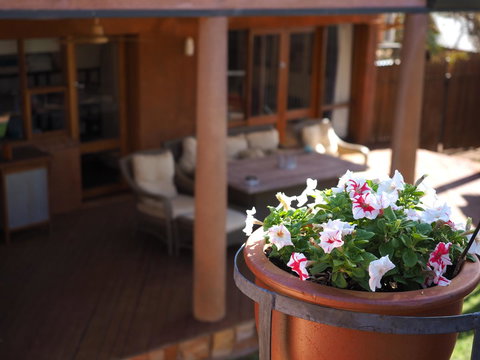 Wilmots On Dixon - Stayed 2