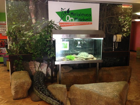 Melaleuca On Mitchell - Darwin YHA - Stayed 32