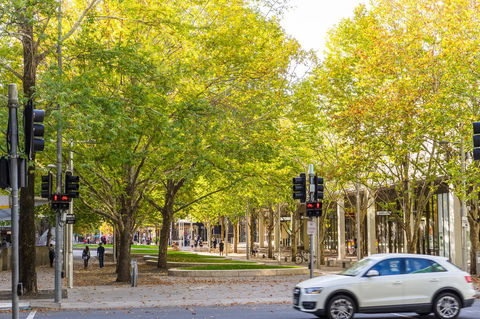 Highgate Executive Apartment City Walk Canberra - Stayed 37