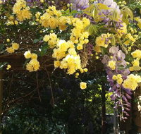 Bowral Road Bed and Breakfast - Stays Accommodation