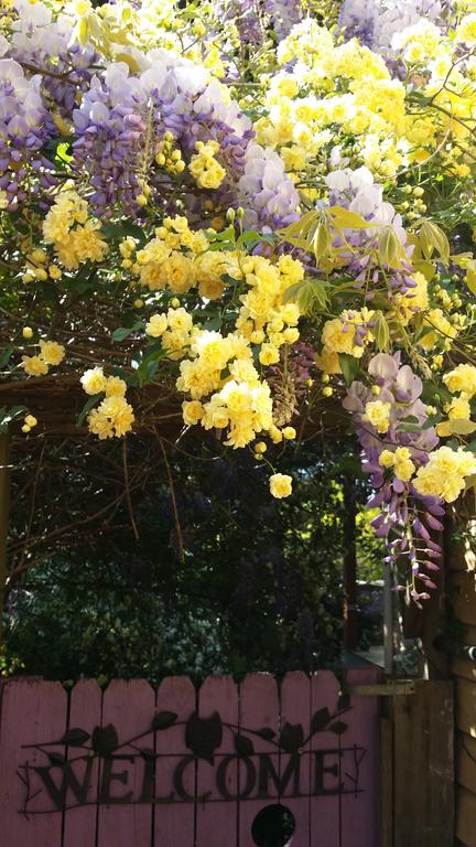 Bowral Road Bed And Breakfast - Stayed 0