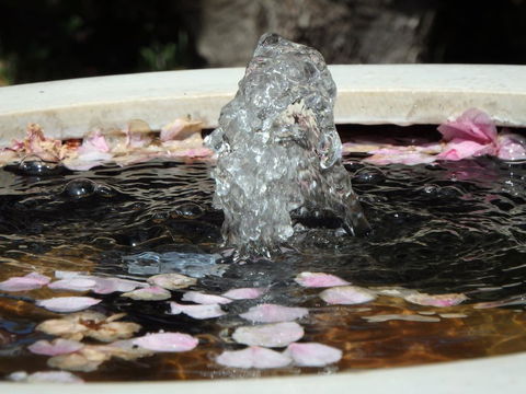 Bowral Road Bed And Breakfast - Stayed 2