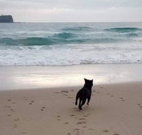 Breakers at Mudjimba Beach - Stayed
