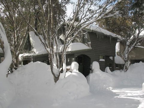 Bright-DPA - Stayed 0