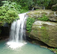 Buderim Forest Hideaway - Stays Accommodation
