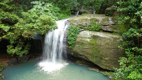 Buderim Forest Hideaway - Stayed 0
