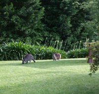 Bundanoon 2578 - Stayed