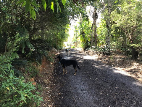 Bunya Cottage - Stayed 2