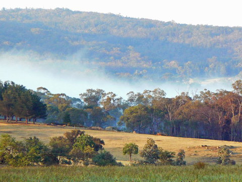 Candlebark Retreat - Stayed 0