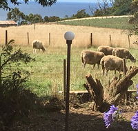 Cape View B and B - Stayed