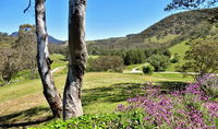 Book Capertee Accommodation Vacations Stayed Stayed