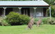 Cedar Lodge Cabins - thumb 0