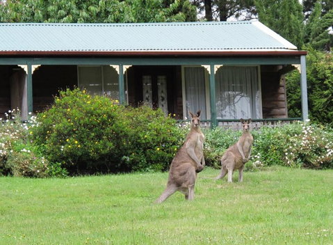 Cedar Lodge Cabins - Stayed 0