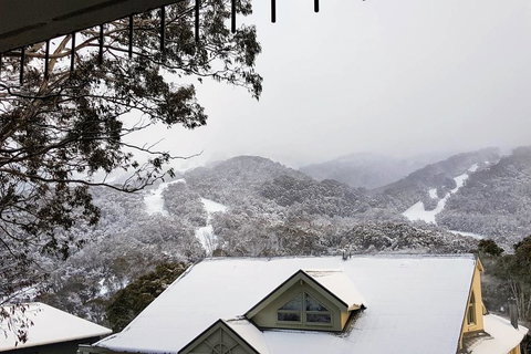 Celesia 2 - Stayed 0