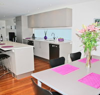 Cerulean Blue Combo - Stayed