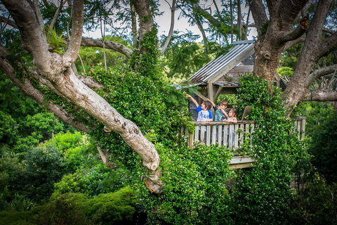 Charlotte's Web - Stayed 1