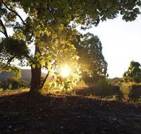 Clarendon Forest Retreat - Stayed