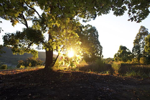 Clarendon Forest Retreat - Stayed 0