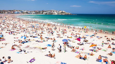CLIFFSIDE: BONDI BEACH - Stays Accommodation 0