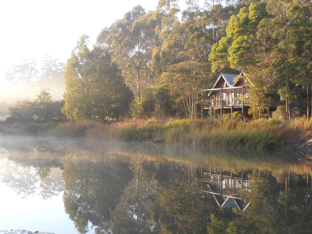 Hodgson Vale QLD Stayed