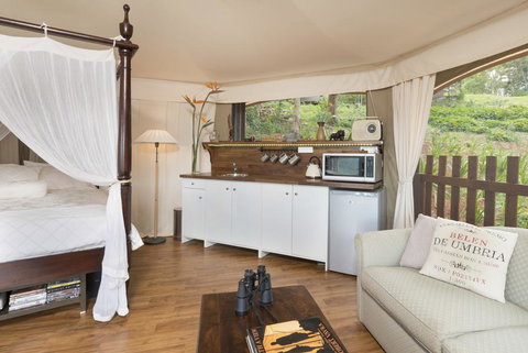 Clouds Safari - Stayed 1