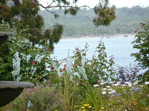 Clovelly Cottage - Stayed 3