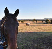 Clydesdale Cottage on Talga with real Clydesdale Horses