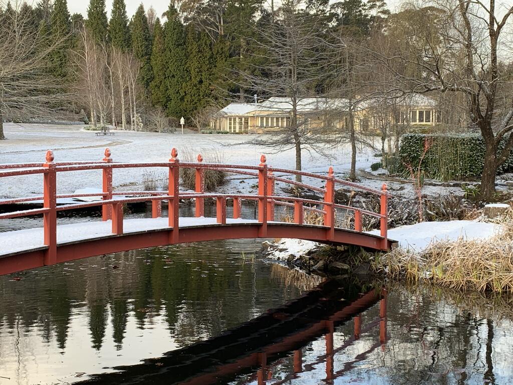 Mount Wilson NSW Stayed